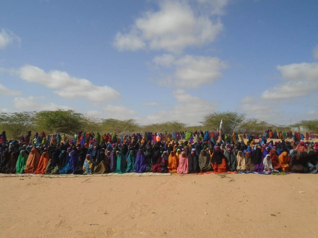 alshabab-1