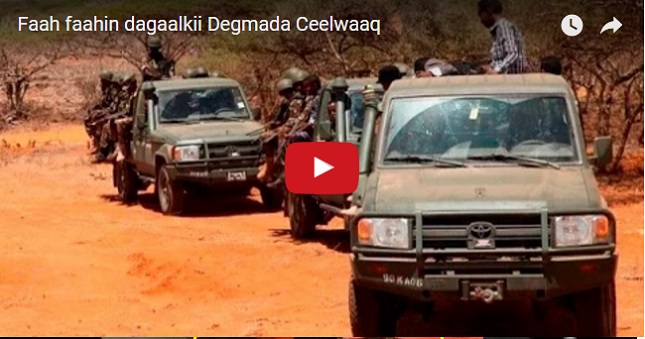 ceelwaaq