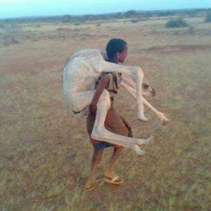 abaar-iyo-dagaal