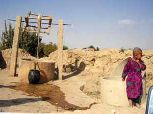 biyo-dhaamin-1